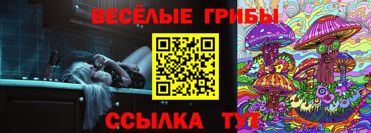 Галлюциногенные грибы мухоморы  Вход с VPN  Курганинск 